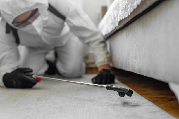 Professional Pest Control technician working in New Philadelphia, OH