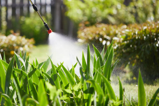 24/7 Emergency Termite Control experts in New Philadelphia, OH