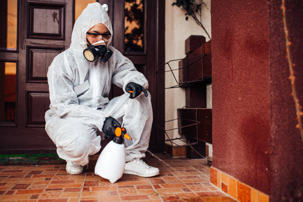 Reliable Termite Control contractor in New Philadelphia, OH by Nex Pest Control