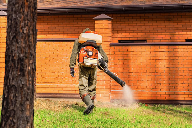 Trusted Bed Bug Control service in New Philadelphia, OH - Nex Pest Control